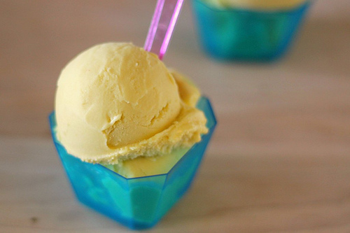 Vegan Coconut Milk Ice Cream